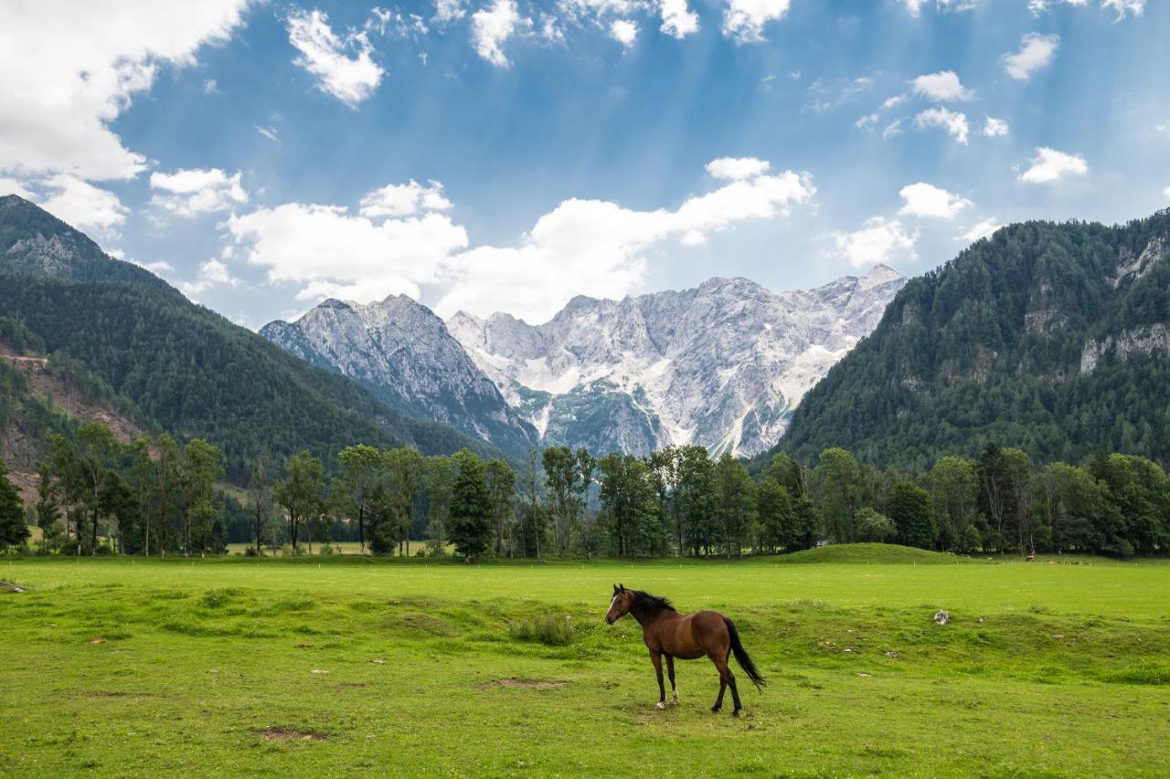 Boutique Hotel Vila Planinka Zgornje Jezersko Exterior foto